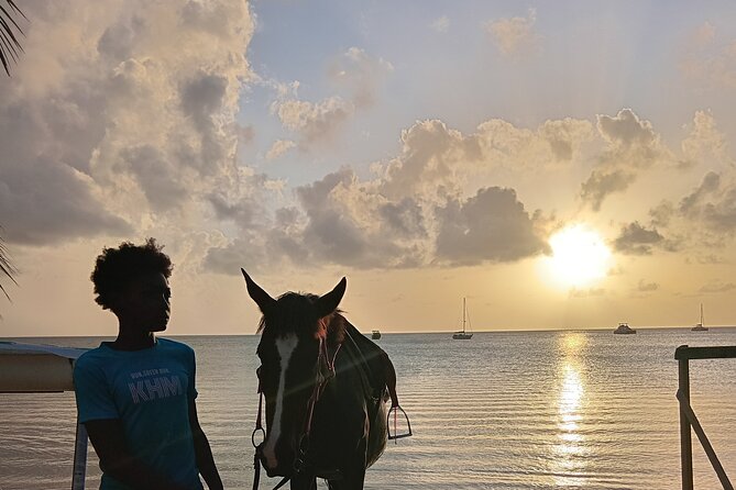 2 Hour Horseback Riding Sunset Tour with Dore's Riding Stable - What the $120 price buys you