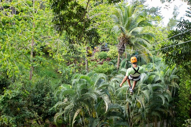 Adrena-Line Zipline, St. Lucia - Eight Zip Lines Across Sixteen Platforms
