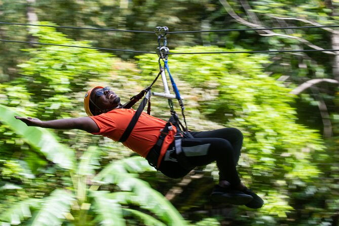 Adrena-Line Zipline, St. Lucia - Rain, Mosquitoes, and Other Forest Realities