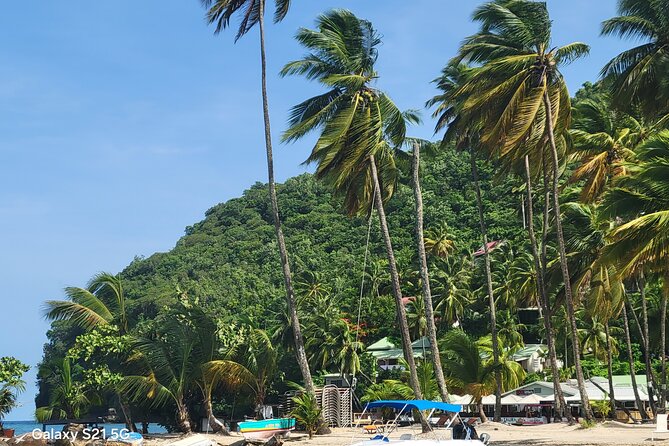 All-Inclusive Land And Sea Excursion - How Much Can You Really See in Five Hours?