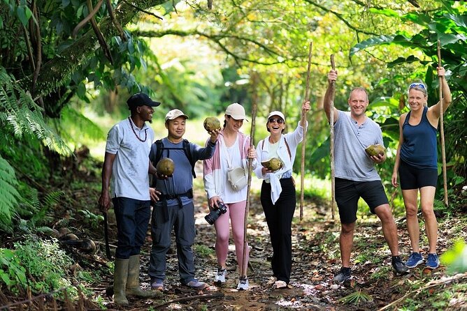 ATV Rainforest Adventure in St. Lucia - What the St. Lucia ATV ride is really about