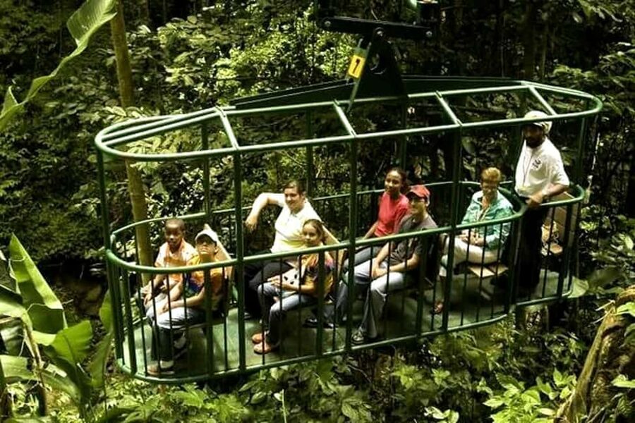 Babonneau/Castries: Rainforest Zip Line, Tram, and Hike Tour - Nine platforms and eight zip lines