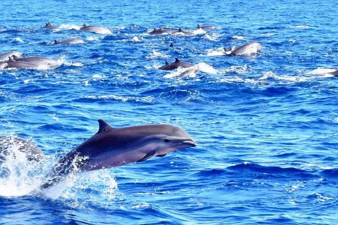 Best Of Full-Day Snorkeling & Beach Excursion with lunch & drinks - Timing, weather, and what to confirm