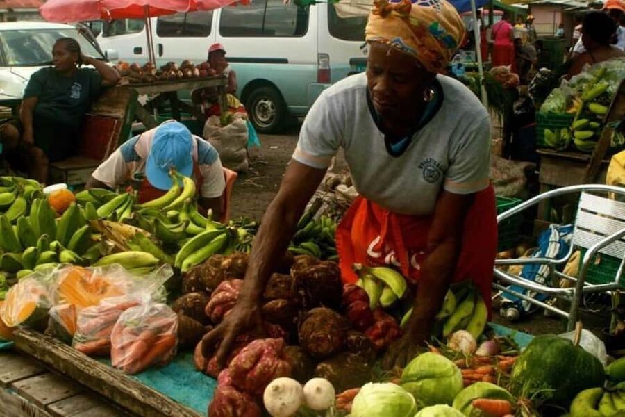Castries: Guided City Architecture and Castries Market Tour - A three-hour introduction to Castries