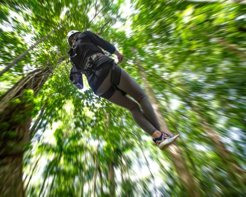 Castries, St. Lucia - Adrenaline Zipline - Key points before you book