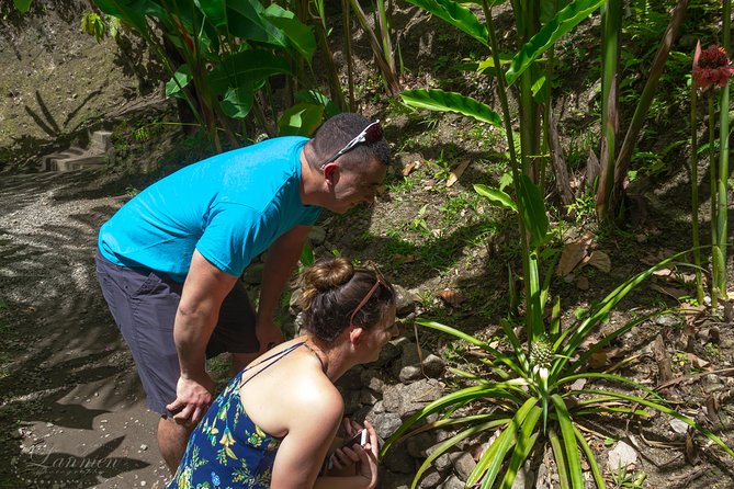 Couples Private St. Lucia Highlights Tour - Anse La Raye and the forest road