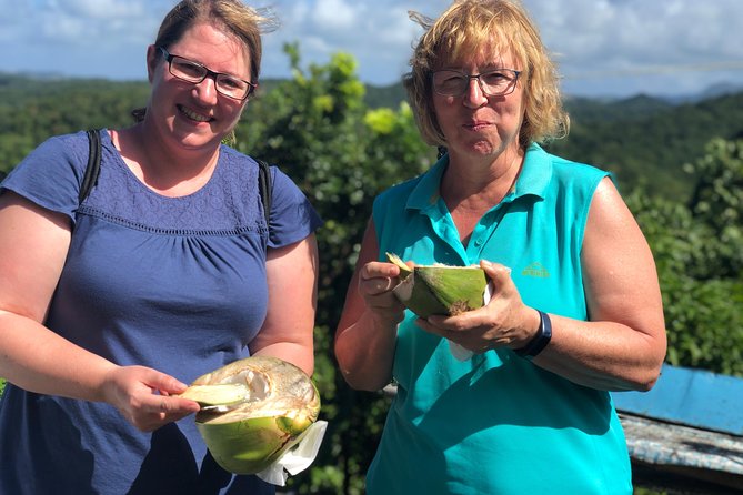 Cruise Excursions in St. Lucia - Marigot Bay, Waterfalls, and Possible Route Changes