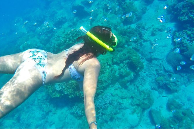 Dash and Splash Snorkel Adventure St Lucia - Who gets the best value from the $600 price