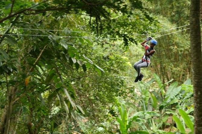 Day of Adventure - Zipline and Hike or Bike - Quick points to know before you book