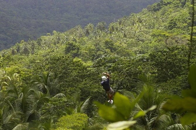 Day of Adventure - Zipline and Hike or Bike - The 12-line zip course through the rainforest