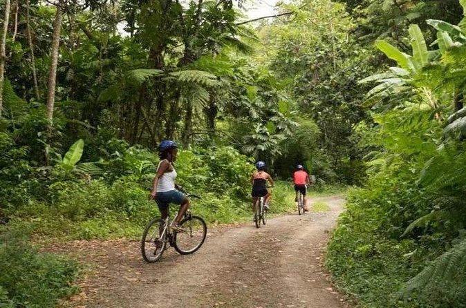 Day of Adventure - Zipline and Hike or Bike - Choosing the rainforest cycling adventure
