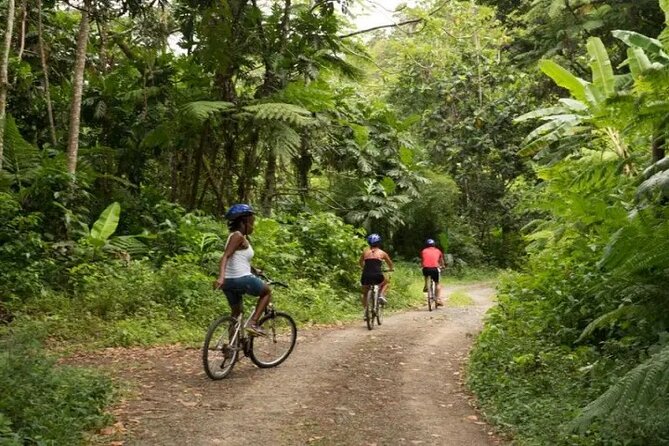 Day of Adventure - Zipline and Hike or Bike - Who will enjoy this most