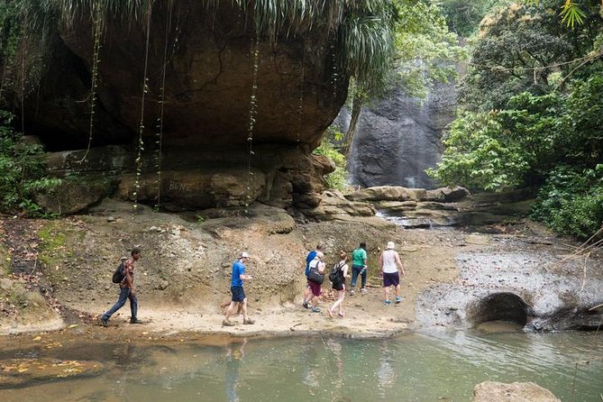 Day of Adventure - Zipline and Hike or Bike - Starting at 8:00 am and getting to the park
