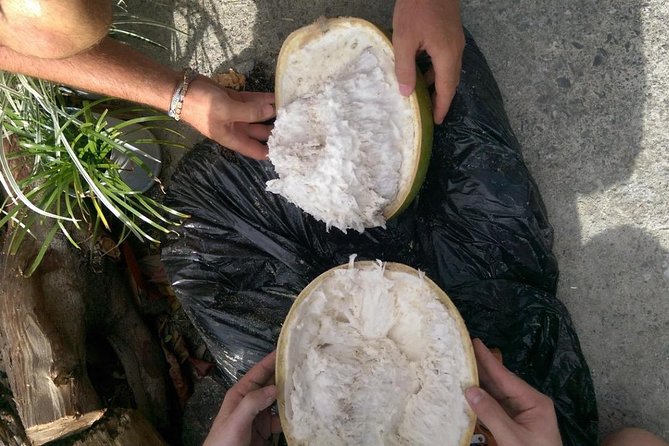 DIY Craft Your Own wooden Bowl : from a calabash fruit! - Is $39.48 Good Value?