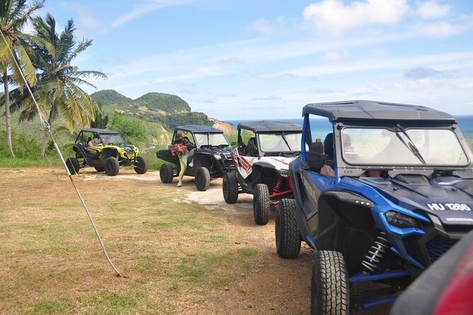 Drive and Fly - Buggy and Zipline - A half-day built around two kinds of adventure