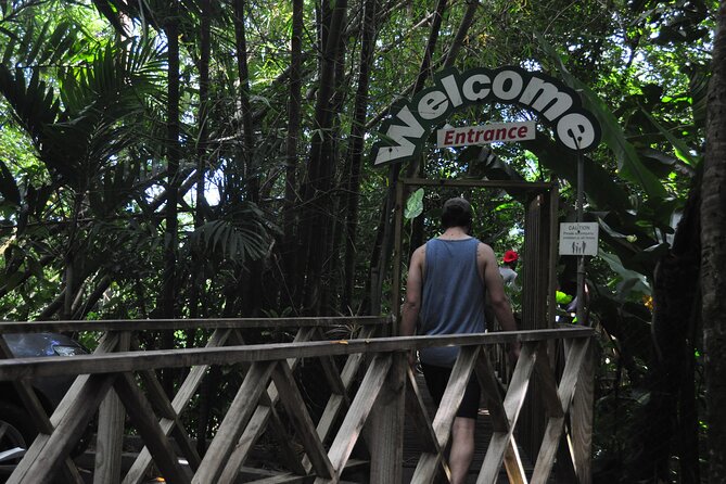 Drive and Fly - Buggy and Zipline - Arriving at the Treetop Adventure Park