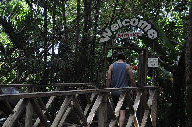 Drive and Fly - Buggy and Zipline - Twelve ziplines, not just one quick flight