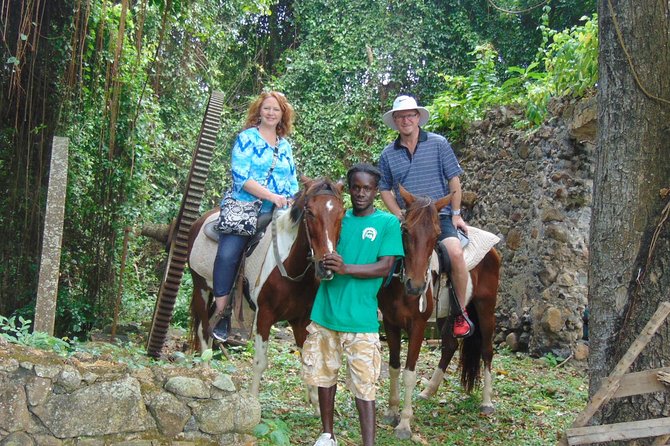 East Coast Horseback Riding & Waterfall Excursion - Key things to know before you book