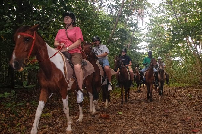 East Coast Horseback Riding & Waterfall Excursion - Fond d’Or Bay: ruins, palms, and open Atlantic water