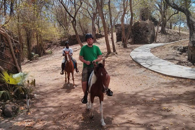 East Coast Horseback Riding & Waterfall Excursion - How much value do you get for $160?