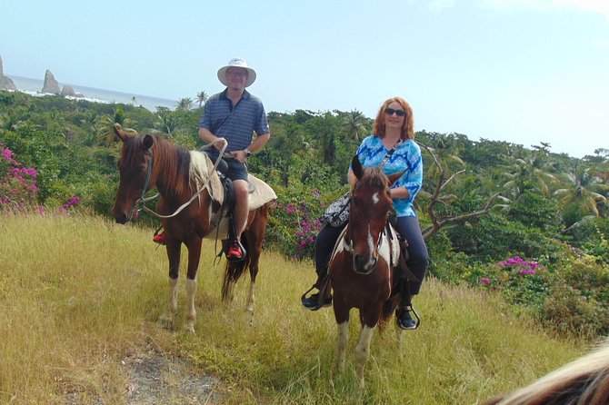 East Coast Horseback Riding & Waterfall Excursion - Booking details worth checking first