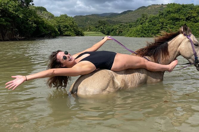 East Coast Horseback Riding, Waterfall & Soufriere Private Tour - The long day and private transportation