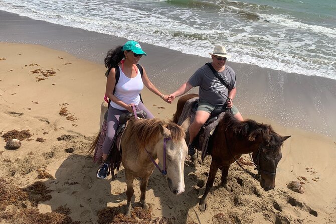 East Coast Horseback Riding, Waterfall & Soufriere Private Tour - Booking timing, cancellation, and useful planning notes
