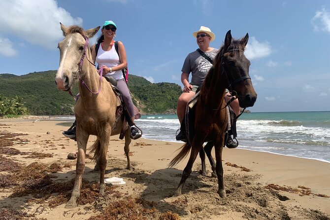 East Coast Horseback Riding, Waterfall & Soufriere Private Tour - Fond d’Or Bay: horses, mangroves, and beach riding