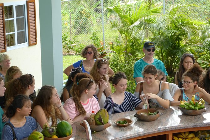 Essence of St Lucia Heritage Experience - Key points at a glance