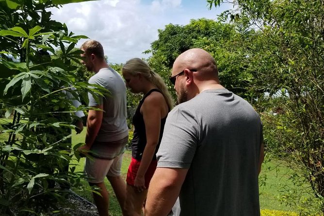 Essence of St Lucia Heritage Experience - Local food, tropical fruit, and rum