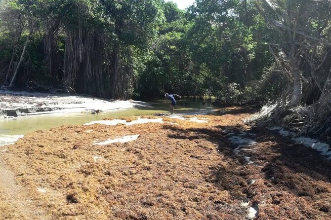 Extreme Outback Tour in St Lucia - Why fat tires make sense in St Lucia