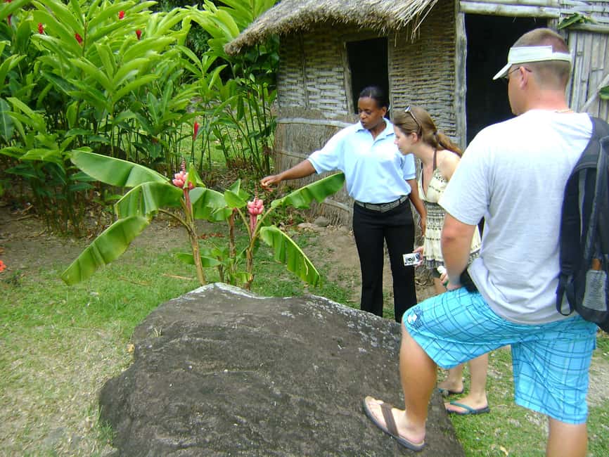 From Castries: Full-Day Catamaran Tour to Soufriere - Marigot Bay and the lively ride home