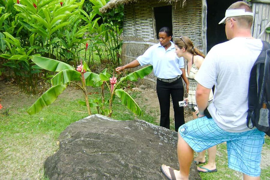 From Castries: Full-Day Catamaran Tour to Soufriere - What the $145 price really covers
