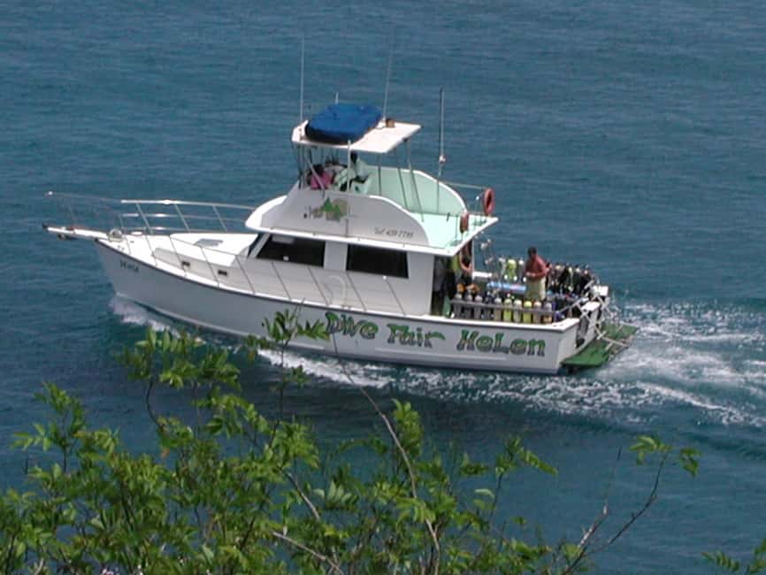 From Castries: St. Lucia Scuba Diving Excursion - Anse Cochon and its shipwrecks