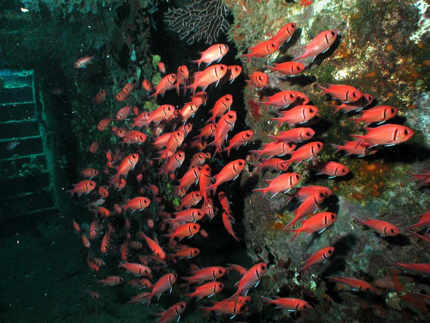 From Castries: St. Lucia Scuba Diving Excursion - What the two tank format means for your day