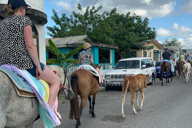 Gros Islet Village Horseback Riding run with Dore's riding Stable - Starting in Cap Estate with a steady coastal ride