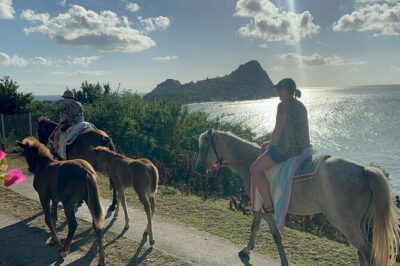 Gros Islet Village Horseback Riding run with Dore’s riding Stable