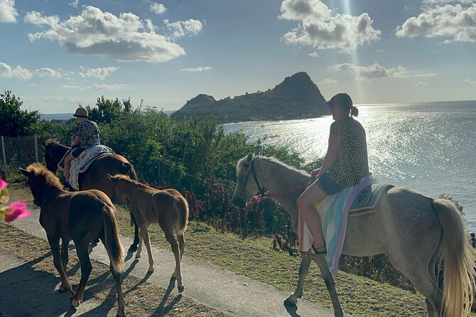 Gros Islet Village Horseback Riding run with Dore's riding Stable - Seeing Gros Islet beyond the Friday night party