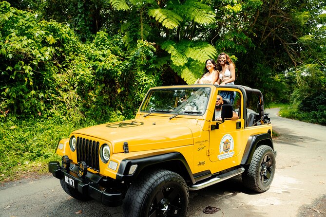 Half Day Private Tour in St. Lucia Jeep Wrangler - Marigot Bay: a quick view with a useful first stop