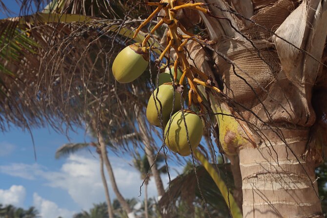 Hewanorra International Airport (UVF) Private St.Lucia Transfers. - Comfort after a long flight