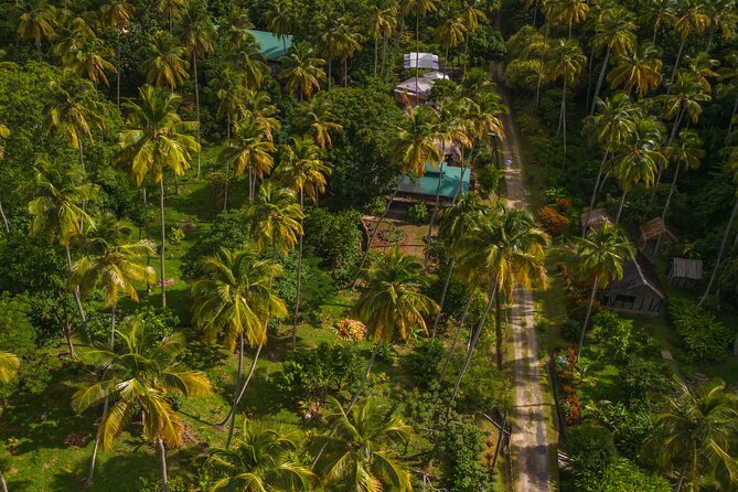 Historical 18th Century Estate Tour with Coconut Tasting - The gardens and medicinal herb walk