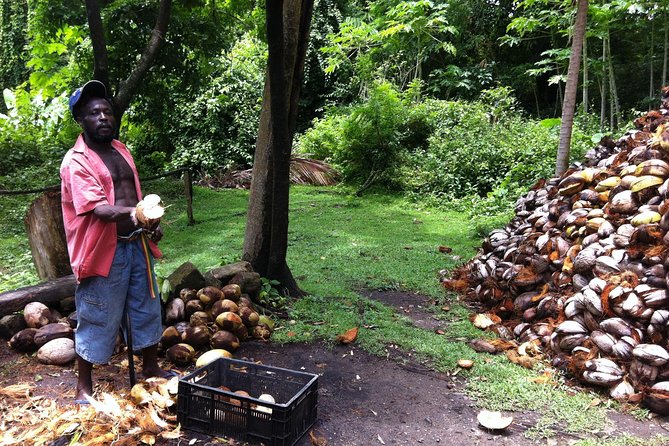 Historical 18th Century Estate Tour with Coconut Tasting - Cocoa and coffee from bean to drink
