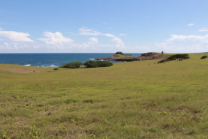 Horseback Riding Adventure Tour in St. Lucia - Reaching the Atlantic shore and rocky coastline