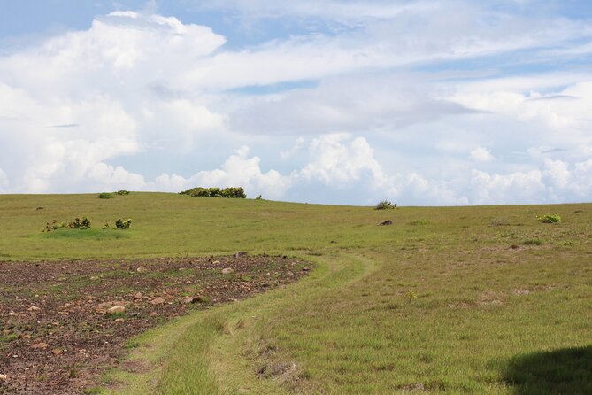 Horseback Riding Adventure Tour in St. Lucia - Who will enjoy this St. Lucia horseback adventure