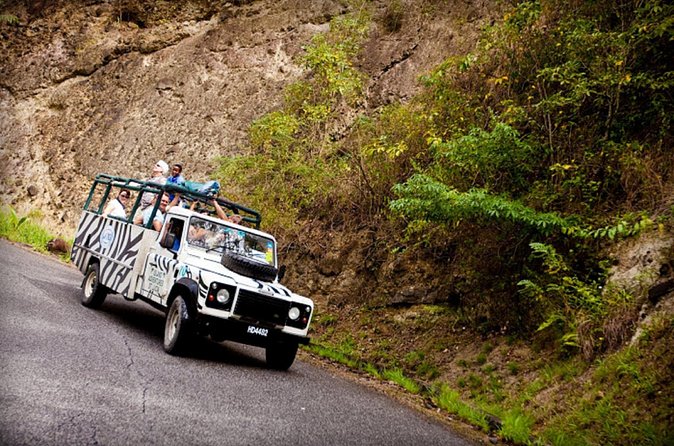 Jeep & Zip Safari St. Lucia From Castries - Island Appetizers and Time for Ocean Views