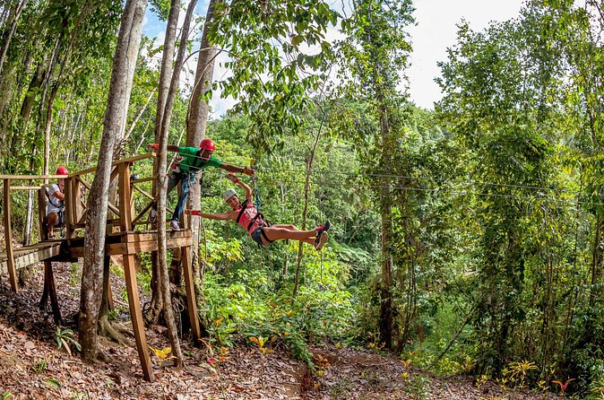 Jeep & Zip Safari St. Lucia From Castries - Who Will Enjoy This Best?