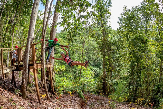 Jeep & Zip Safari St. Lucia From Castries - Should You Book the Jeep and Zip Safari?