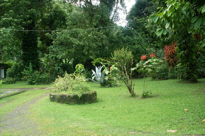 Magical Soufriere: A Tour of St Lucia - Morne Coubaril and the plantation story