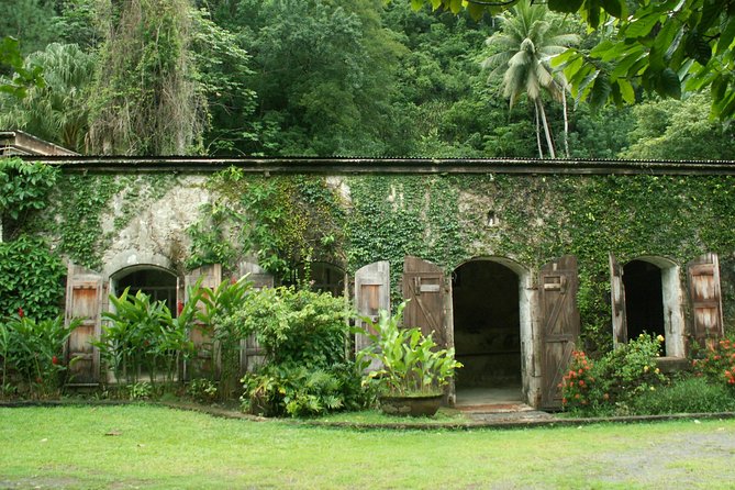 Magical Soufriere: A Tour of St Lucia - What the guides add to the day