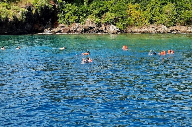 Mud bath and Waterfall with Snorkeling at Sugar beach - What the guide and transport add